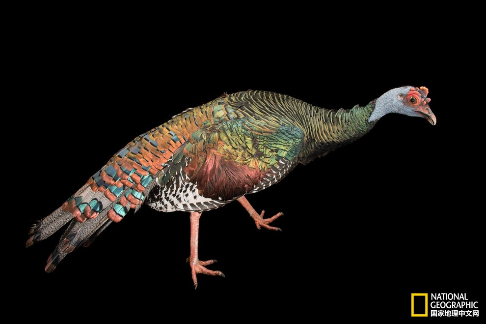 J9直营集团官方网站