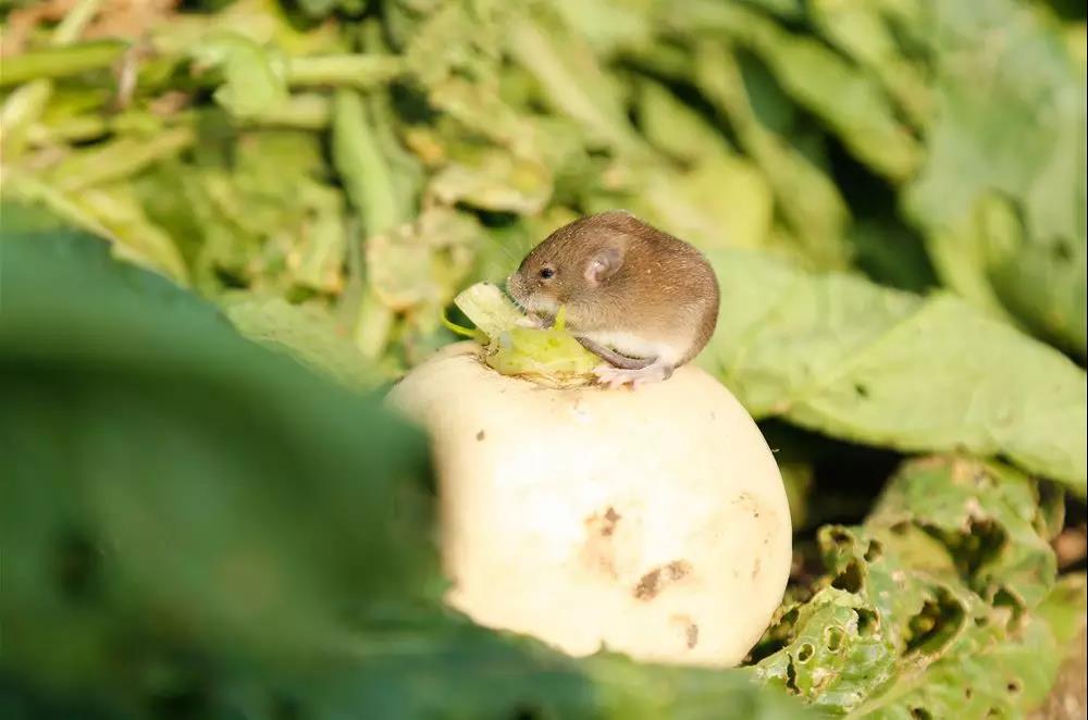 J9直营集团官方网站_你没有分外的工具,但客户却享受了服务,这样的支付,你是否愿意(图2) J9直营集团