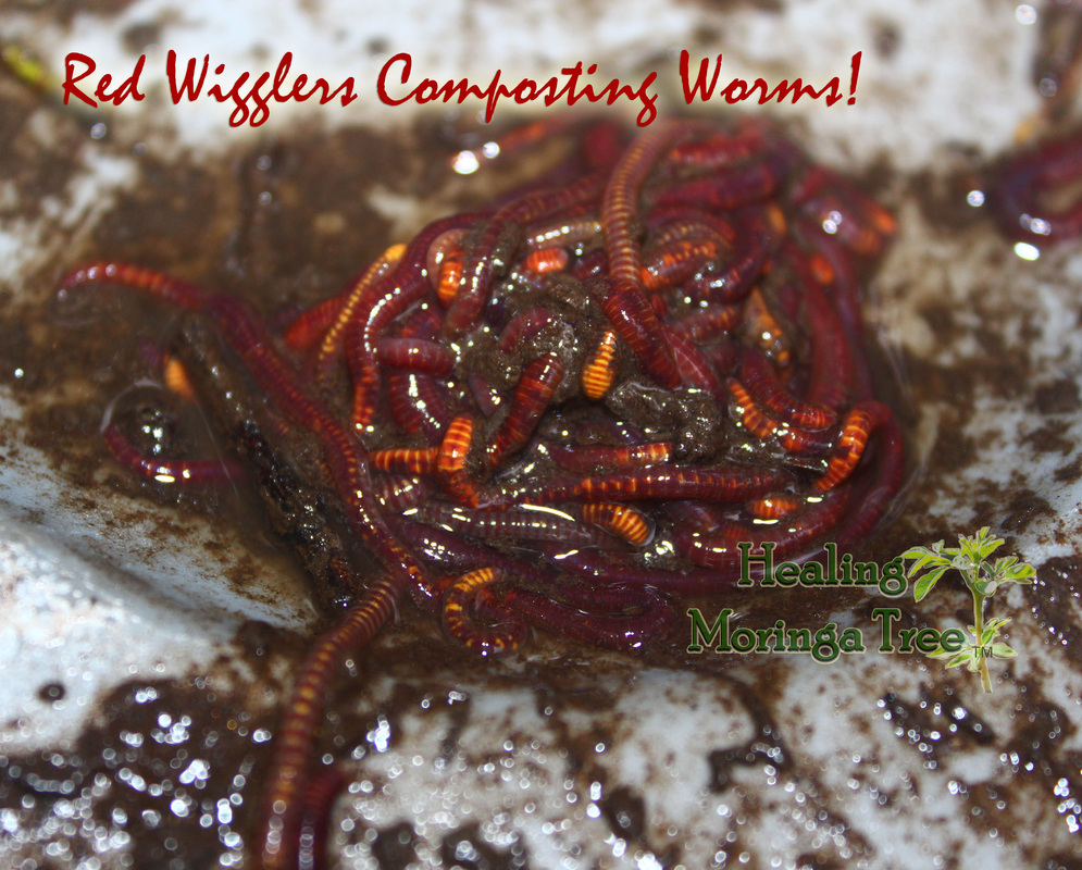 J9直营集团官方网站