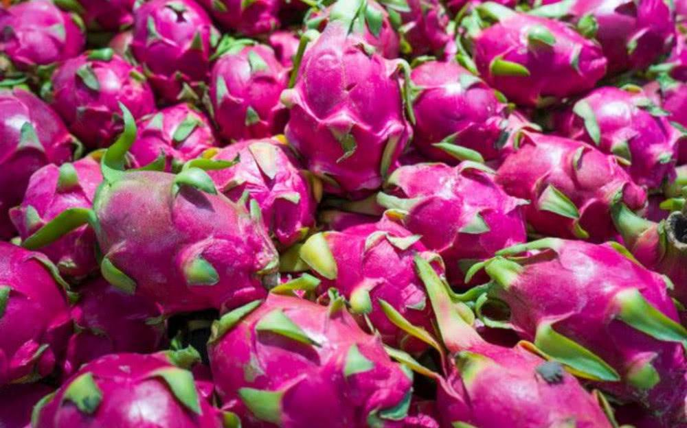 J9直营集团官方网站