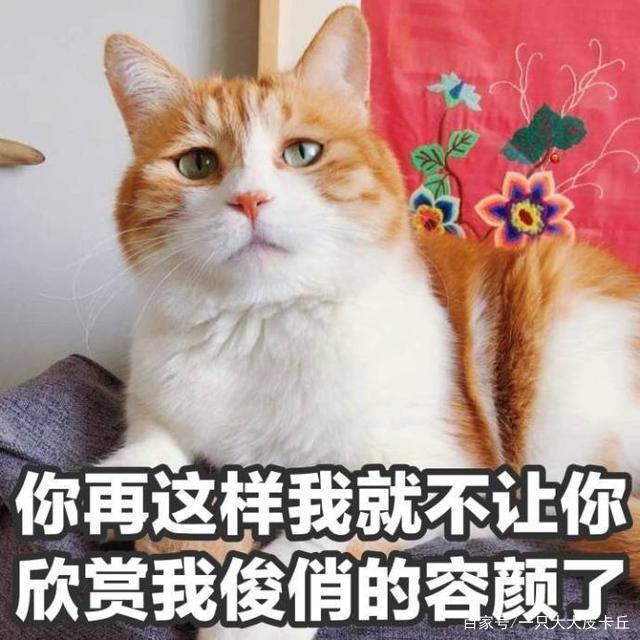 J9直营集团官方网站