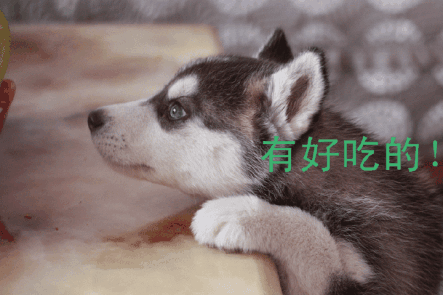 J9直营集团官网