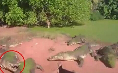 J9直营集团官方网站