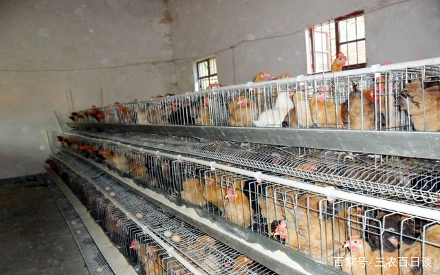 “J9直营集团”青松讲盘:铁矿发力破位大跳水(图2) J9直营集团官方网站