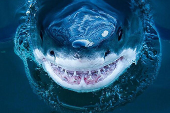 J9直营集团官网