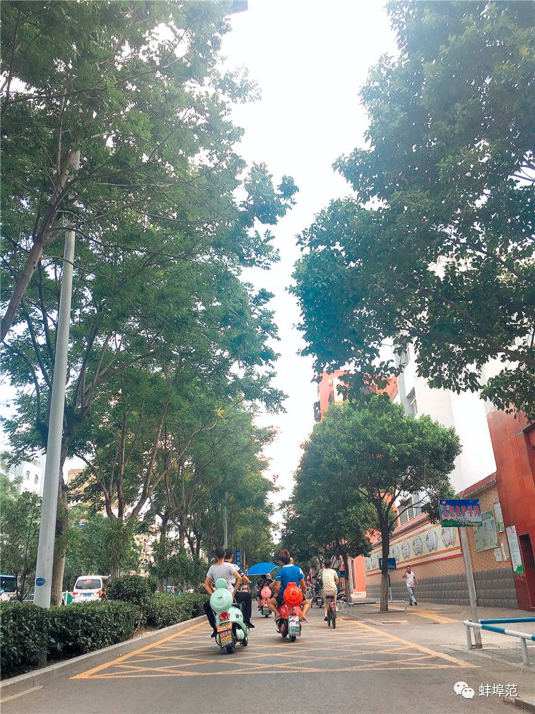 J9直营集团官网