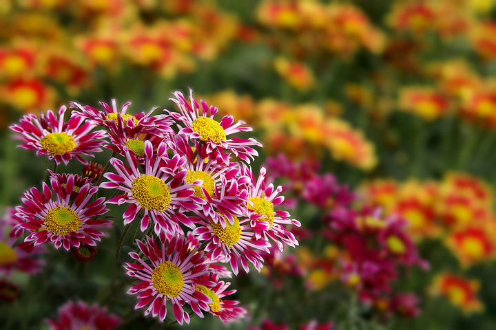 J9直营集团官网