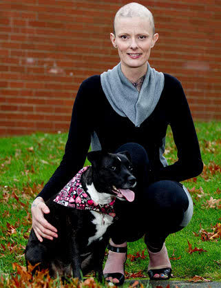 J9直营集团官网|
关于在宝塔面板的基础上搭建Wordpress小我私家博客的教程(图3) J9直营集团官方网站