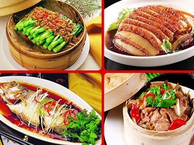 J9直营集团官方网站