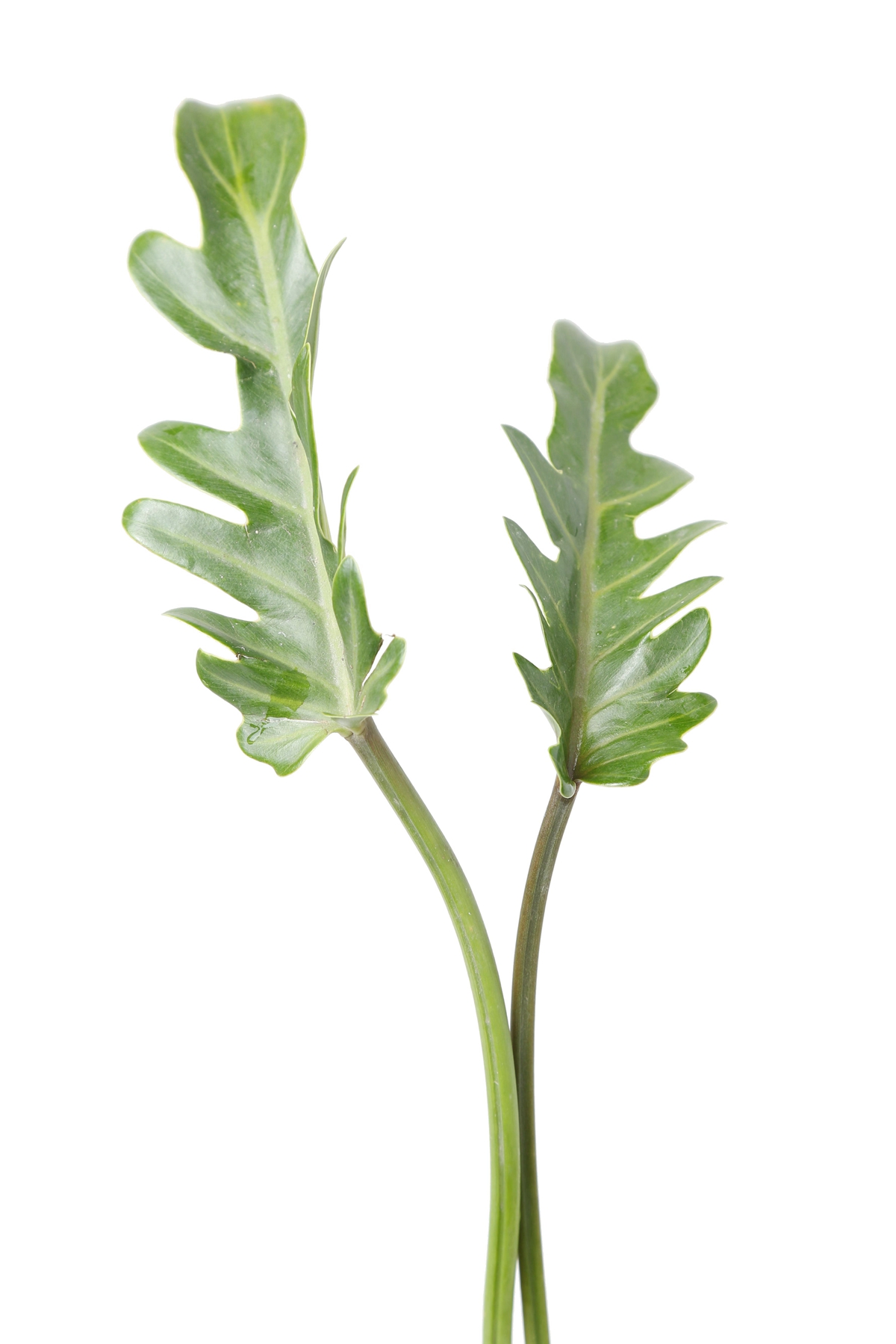 J9直营集团官方网站|国际合作:新能源投融资市场可期(图2) J9直营集团官网