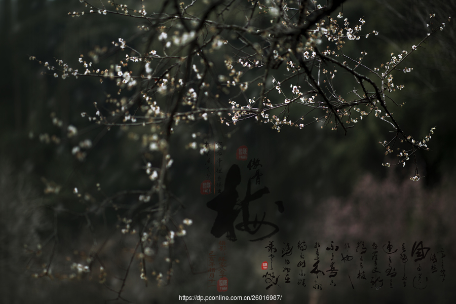 J9直营集团官方网站