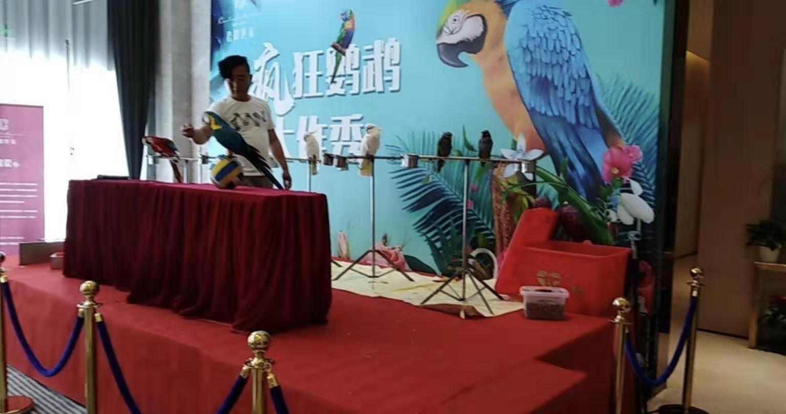 J9直营集团官方网站