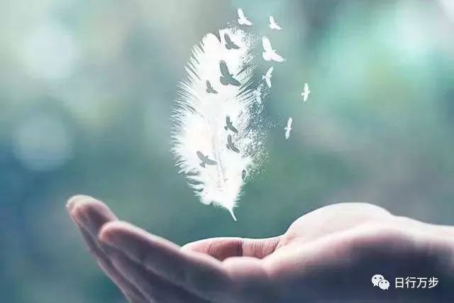 J9直营集团官网