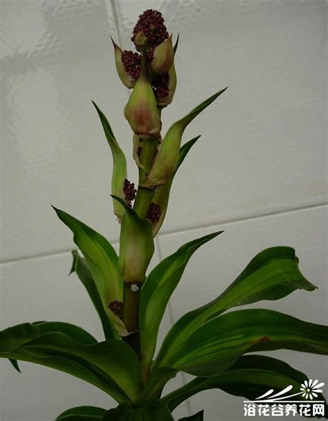 J9直营集团官网