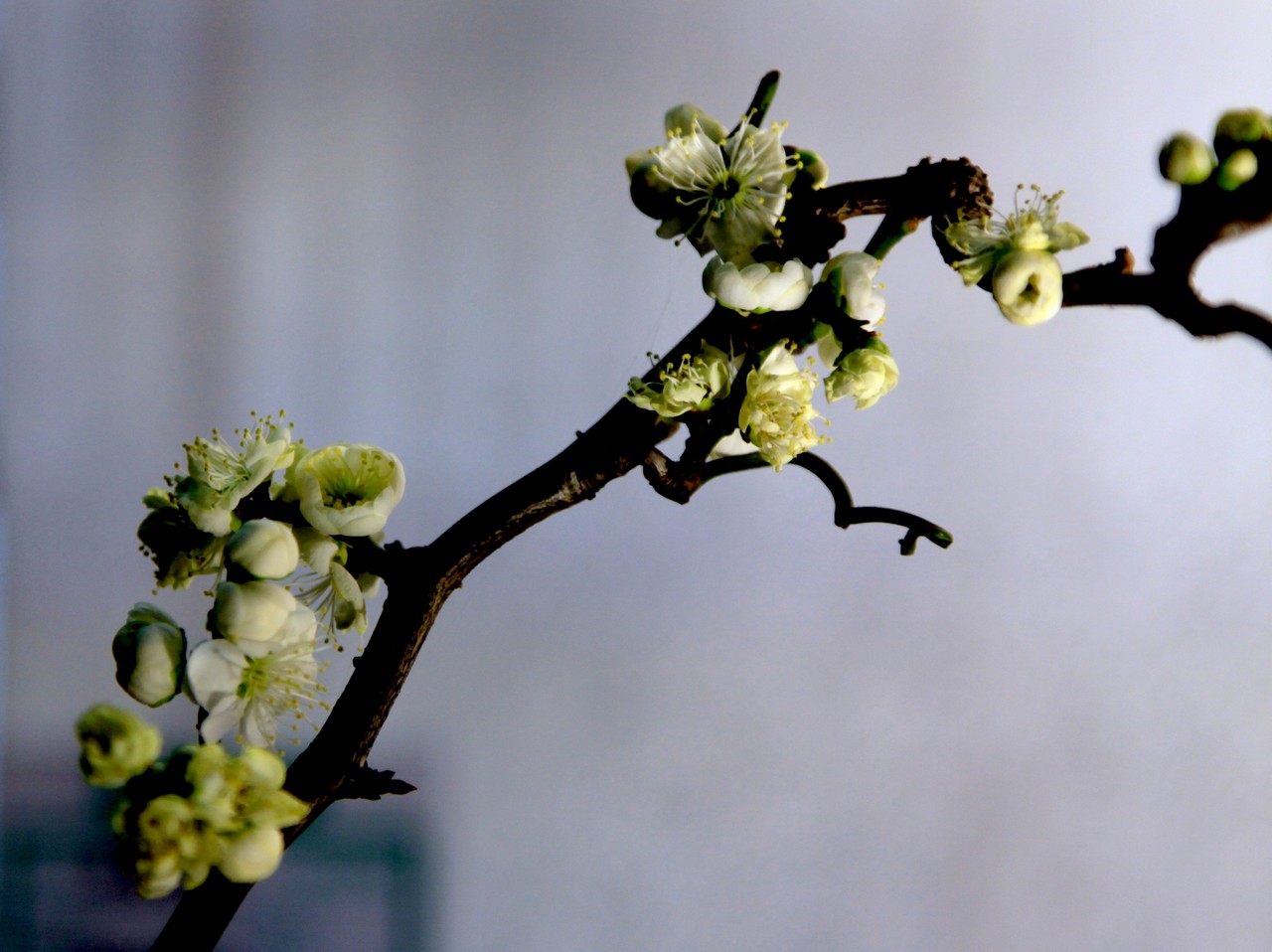 J9直营集团官网