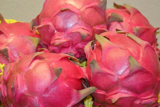 J9直营集团官网