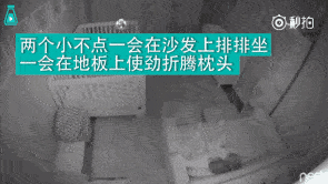 J9直营集团