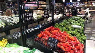 J9直营集团官网