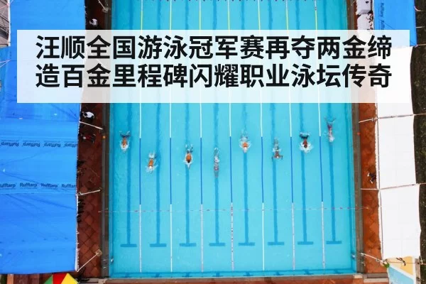 汪顺全国游泳冠军赛再夺两金缔造百金里程碑闪耀职业泳坛传奇